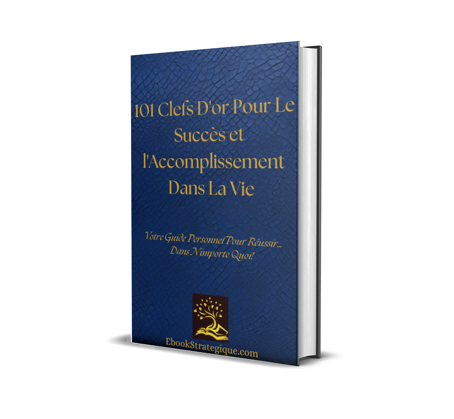 Ebook les 101 Cléfs du Succès
